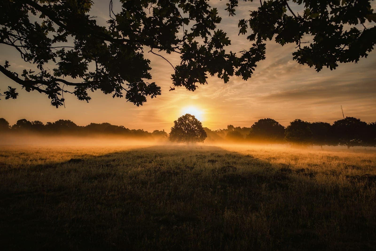 A lone worker in open country at golden hour