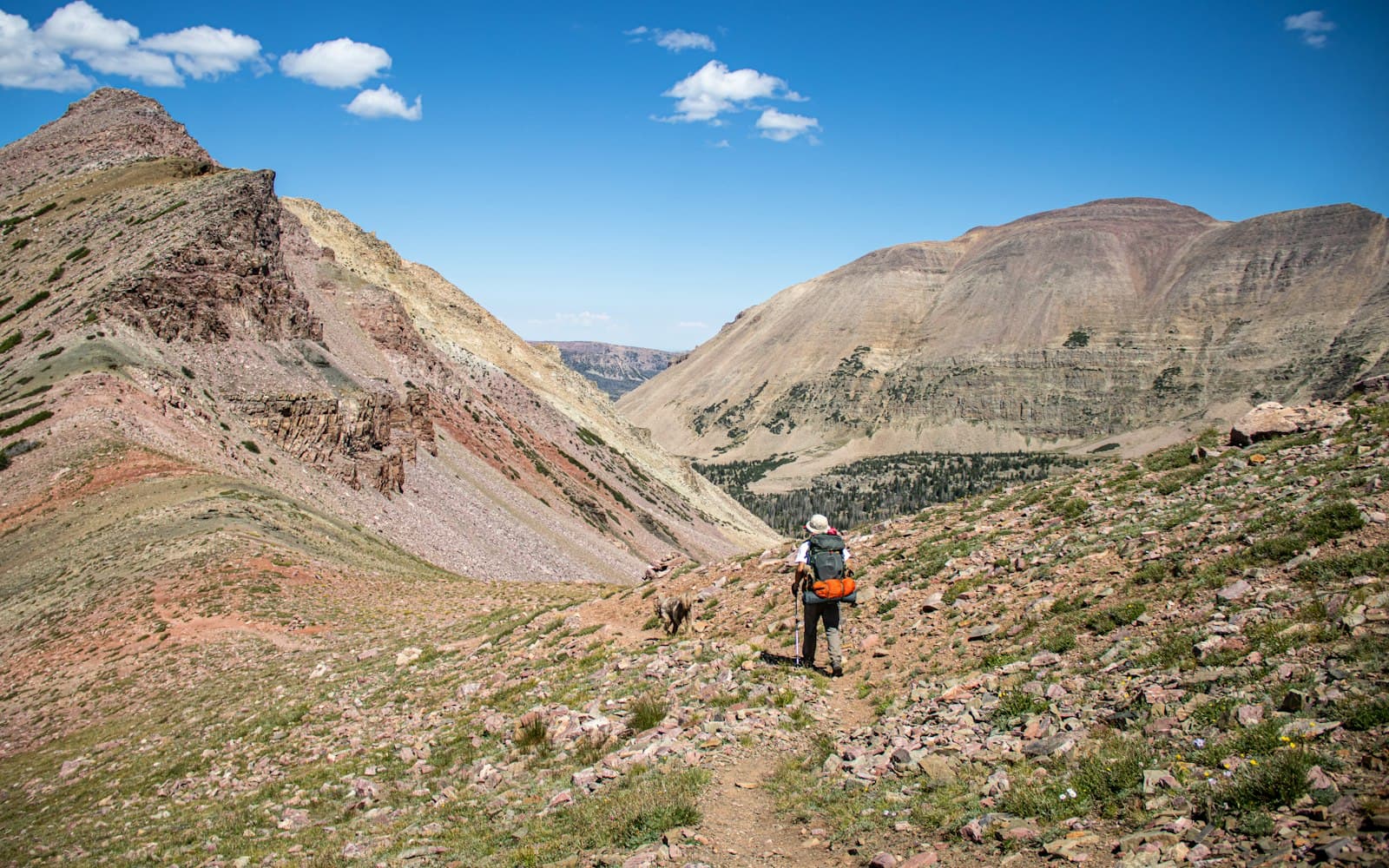 A hiker on an upland trail
