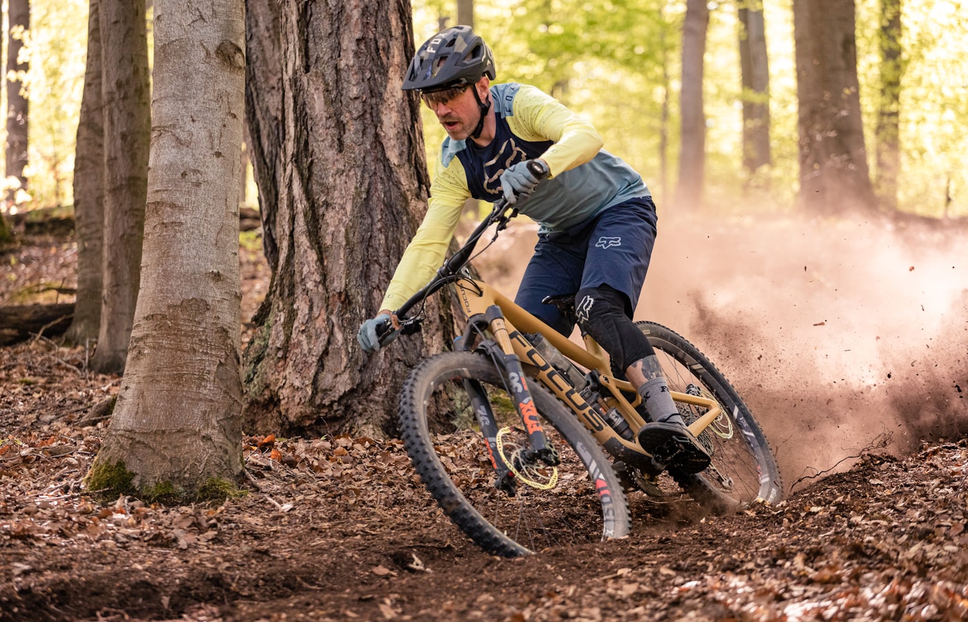 Mountain biker on a forest trail